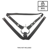 Jock Style Elastic Chastity Support
