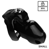 Lockdown Pro