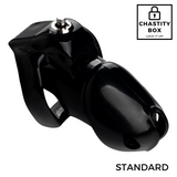Lockdown Pro