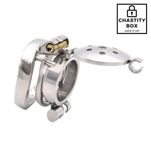 Double Trouble Chastity Device  ***NEW***