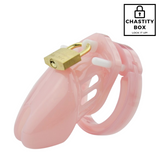 Solid Resin Chastity Cage With 5 Rings