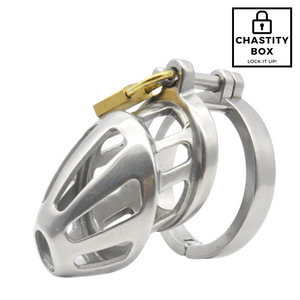 Cock Prison Stainless Steel Chastity Cage