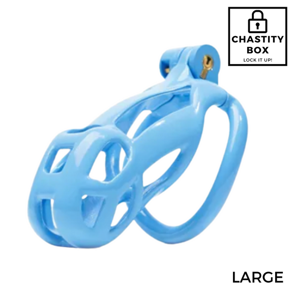 Colorful Resin Chastity Cage With 4 Rings ***NEW***