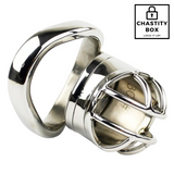 Stainless Steel Arc Tube Chastity Cage
