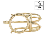 Golden Boy Chastity Cage ***NEW***