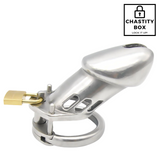 Classic Solid Steel Chastity Cage