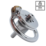 Inverted Chastity Cage