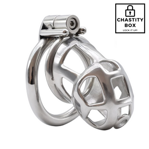 Welded Steel Chastity Cage