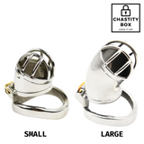 Stainless Steel Arc Tube Chastity Cage